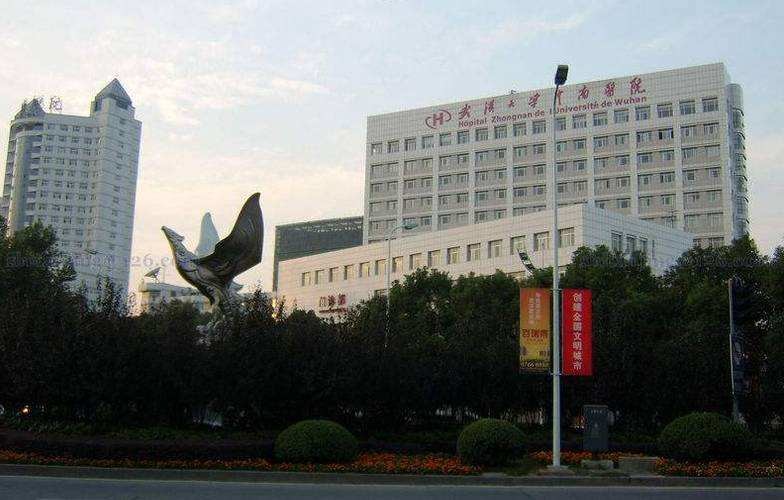 τελευταία εταιρεία περί Νοσοκομείο Zhongnan του πανεπιστημίου Wuhan